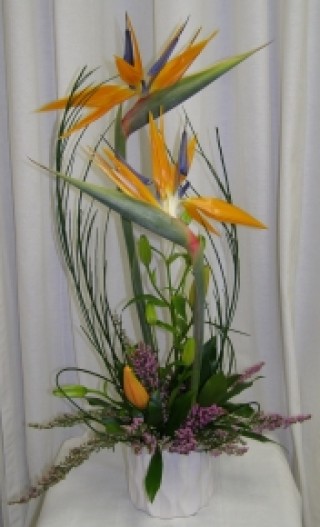 Dream Paradise floral Design - $80.00